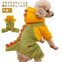 犬服 猫服 辰 コスプレペット服 犬 秋冬 ドッグウエア 可愛い 竜 変身服 犬用コスチューム 龍 着ぐるみ ペットウェア パーカー 2024年 干支 辰年 動...