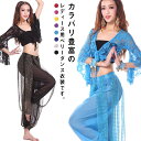 ベリーダンストップス チョリ ベリーダンス衣装 総レース ボレロ カーディガン フレア袖 ダンスウェア シースルー レッスンウェア ラテンダンス フラメンコ 練...