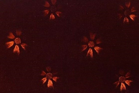 難燃証明発行可能【金華山生地のみ　幅1350mm】1m単位　切り売り（コスモスブラウン）