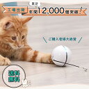＼楽天ランキング1位／ 猫 おもちゃ 一人遊び 電動 自動 ネコ おもちゃ ねこ 光る ボール キャ