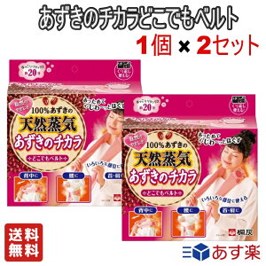 ＼お得な2個セット／ 小林製薬 あずきのチカラ どこでもベルト 100%あずきの天然蒸気 背中に 腰に 首・肩に チンしてくり返し使える 1個 約250回 蒸気温熱ピロー 温熱パッド 肩こり 腰痛 あずき 桐灰化学【送料無料】