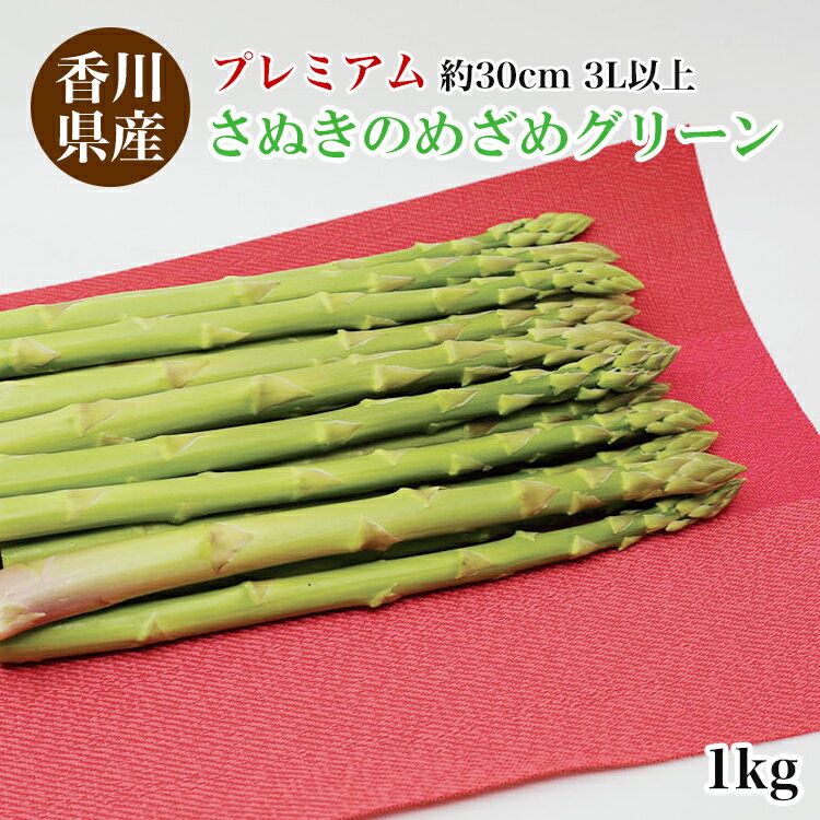 ̵ вκīΤ 1kg̤Τᤶ ץߥ 30cm 3Lʾ ꡼󥢥ѥ ѥ ѥ饬 īΤ