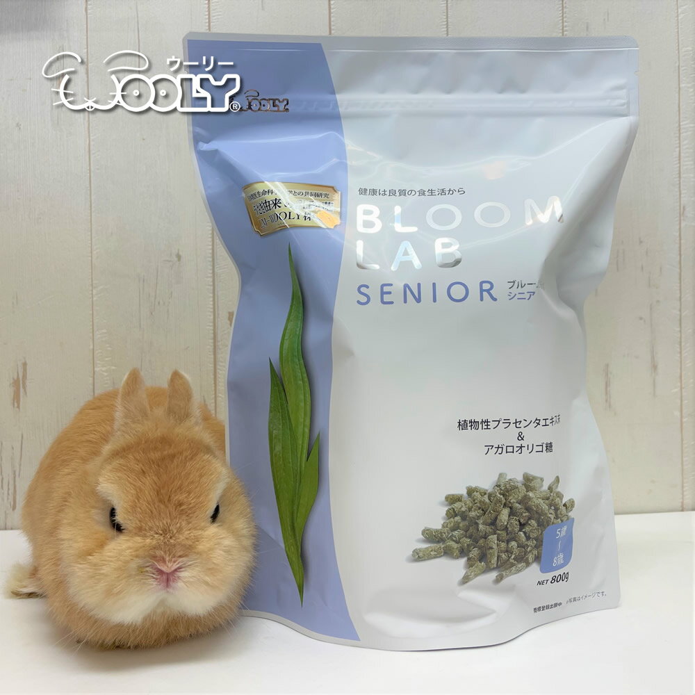 ナチュラルペットフーズ（株） テイストプラス 桑の葉のペレット 80g 小動物 小動物栄養補助食品 フード｛SK}