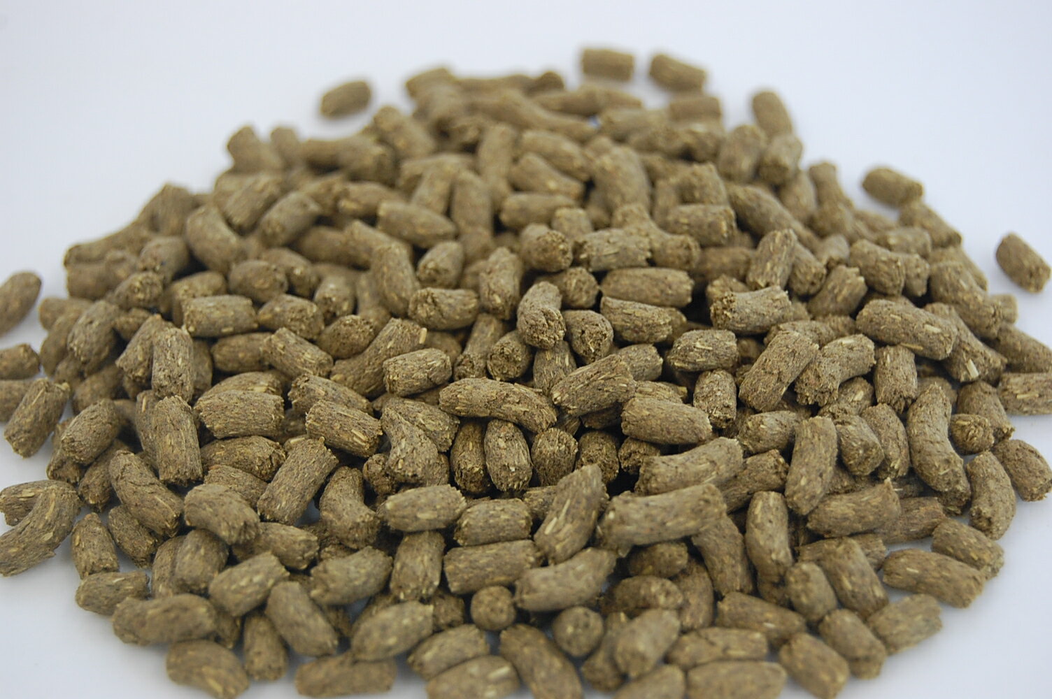 ���ѥå������ѹ��������ջ����Բġۻ������� ��ӥåȥץ饹���ƥʥ�1kg ����������Ź�Υ��⥷��1�ִ��� 1kg(500g��2��) ���������ߡ�