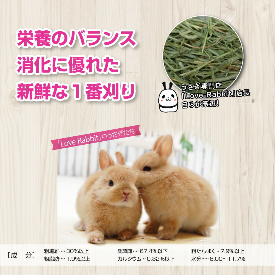 【日付指定不可】うさぎ専門店の特選チモシー1番刈り 800g 【送料込み】 うさぎ ウサギ 兎 エサ 餌 チモシー 牧草 ペット ペット用 3