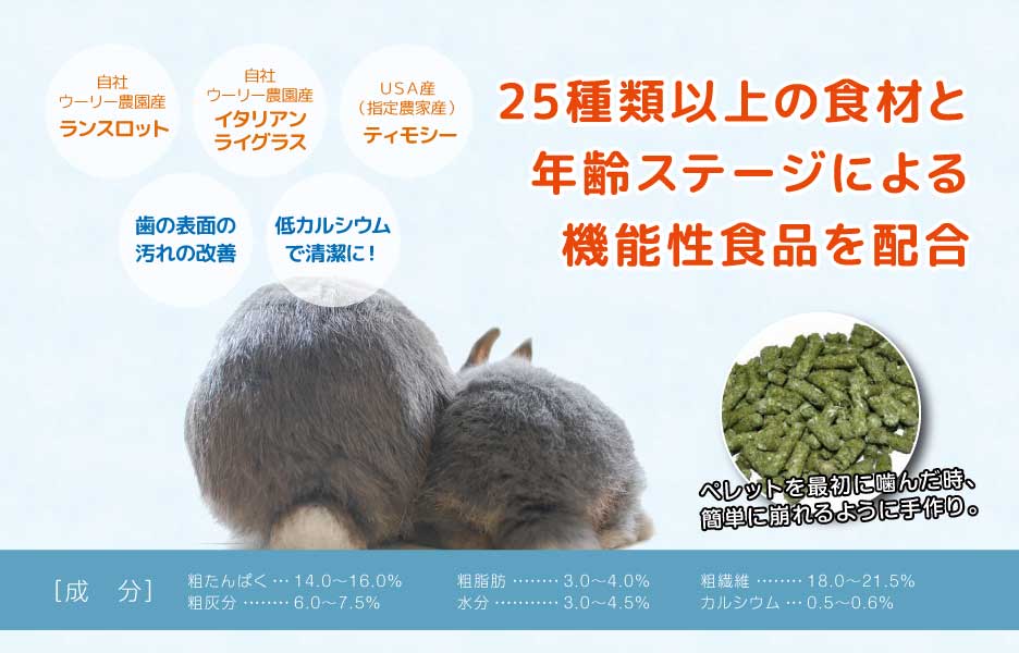 最大92%OFFクーポン ウーリー シルバーブルーム 800g ※生後4歳~6歳 うさぎ ペレット tepsa.com.pe 最大92%OFFクーポン ウーリー シルバーブルーム 800g ※生後4歳~6歳 うさぎ ペレット tepsa.com.pe