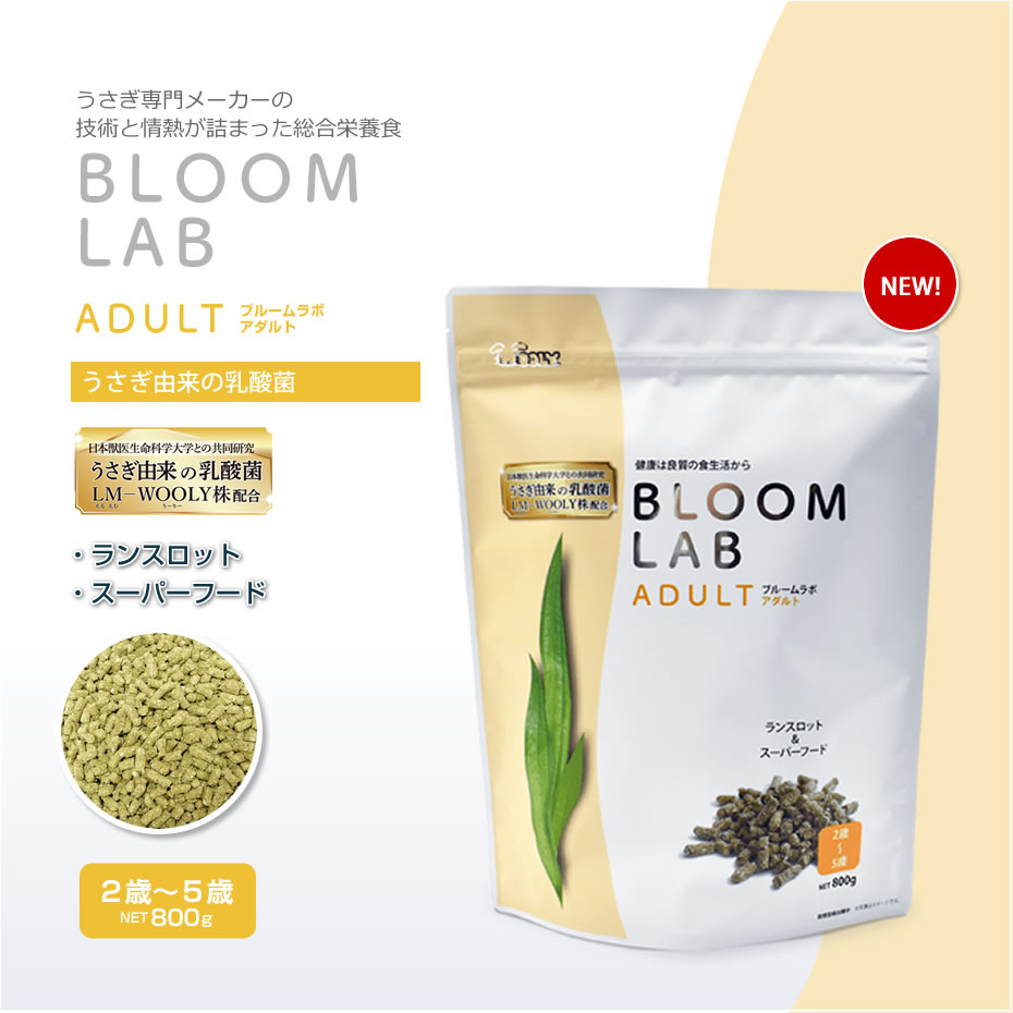 ウーリー ブルームラボ アダルト 800g ※2歳～5歳 うさぎ ペレット ペット 2