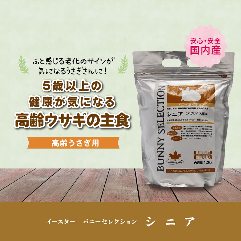 イースター バニーセレクション シニア 1.3...の紹介画像2