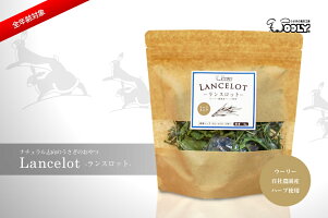ウーリーのおやつ畑「ランスロット」
