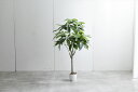『Nature(ナチュレ)』触媒人工観葉植物シリーズの【パキラ】【高さ120cm】光触媒 人工 観葉植物 光 消臭 抗菌 防汚 インテリア 造花 フェイクフラワー フェイクグリーン(3)