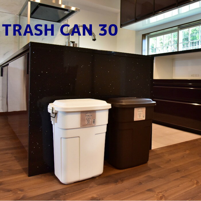 ゴミ箱 ごみ箱 おしゃれ 30リットル 30l 分別 ふた付き 小さい 省スペース ダストボックス トラッシュ..
