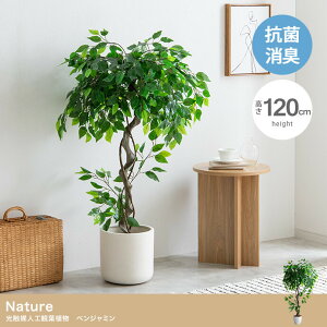 『Nature(ナチュレ)』シリーズのベンジャミン　【高さ120cm】Nature 光触媒人工観葉植物　ベンジャミン　消臭　抗菌　防汚　観葉植物　人工　光触媒　インテリア　造花　フェイクフラワー　フェイクグリーン