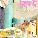 【Truelove公式】犬 リード ロープ ハンズフリー スタンダード 丈夫 軽量 小型犬 中型犬 ブランド おしゃれ カラフル かわいい 2サイズ 高機能 長さ調節 アジャスター ロック 手首に固定できる ハンドル調節付き FREED フリードリード TLL2576