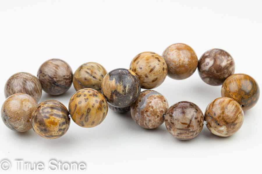 原生林 珪化木 木化石 ブレスレット 14.5mm-14.9mm 化石 パワーストーン 原石