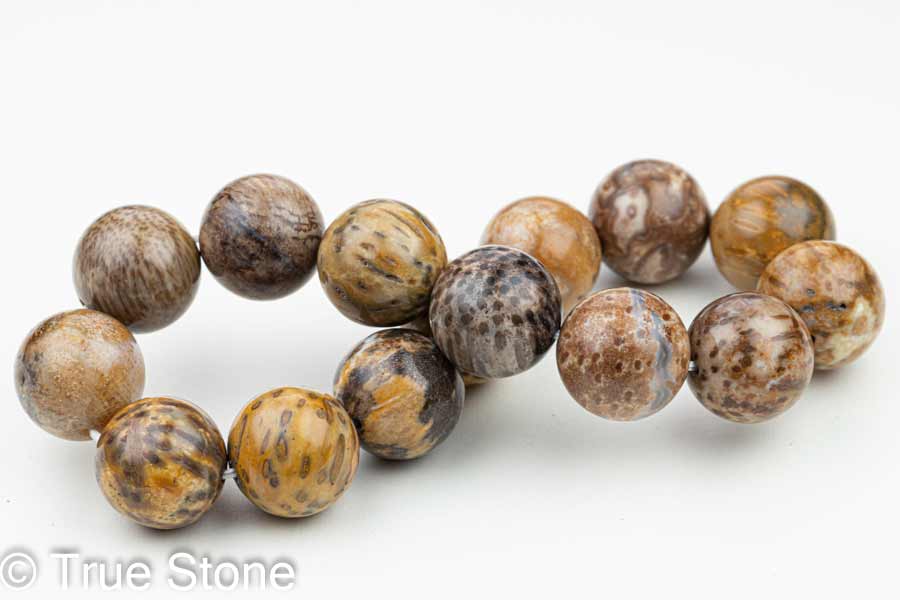 原生林 珪化木 木化石 ブレスレット 14.5mm-14.9mm 化石 パワーストーン 原石