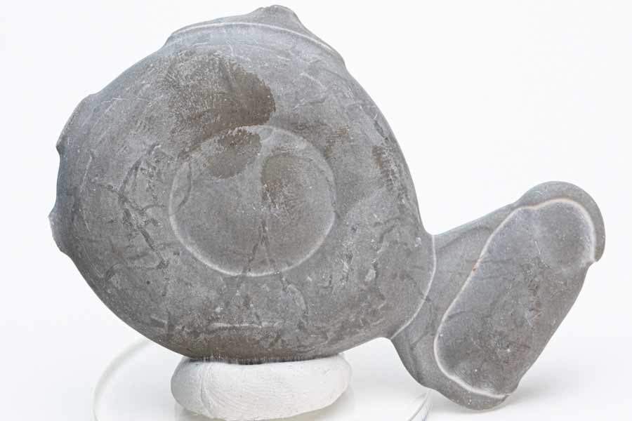 フェアリーストーン 妖精の石 Fairy stone カナダ ケベック州 ビスケットの川 メニライト