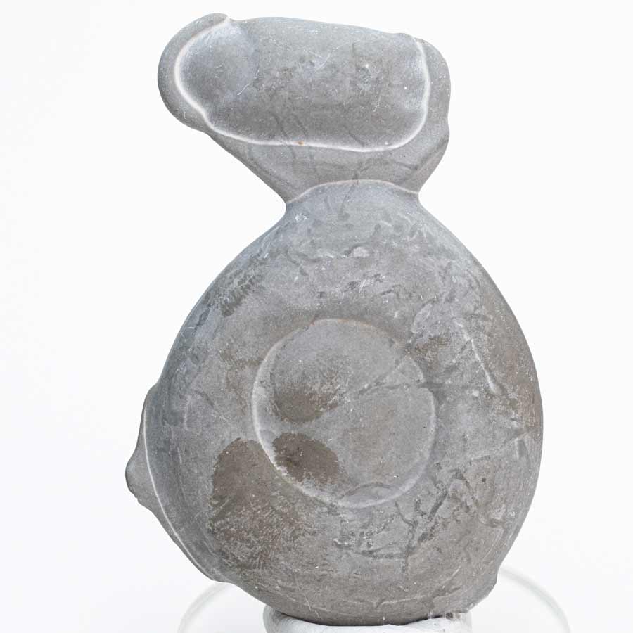 フェアリーストーン 妖精の石 Fairy stone カナダ ケベック州 ビスケットの川 メニライト