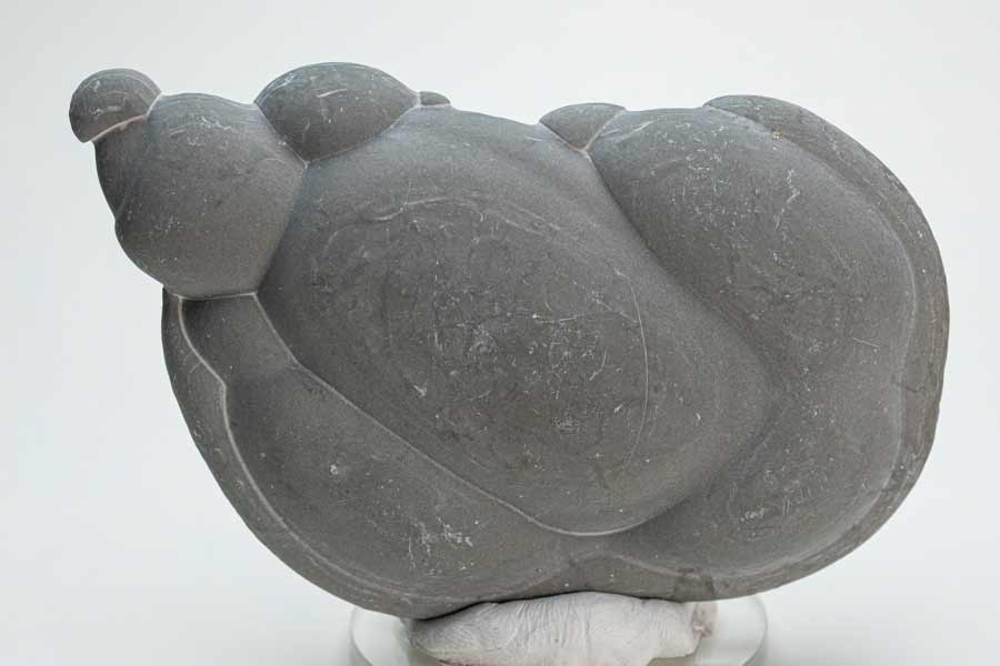 タロットクロス tarot 占い 神秘的 タペストリー おしゃれ 祭壇 撮影背景 正方形 グッズ アクセサリー 青 赤 ピンク 風船 星 お祝い 空 子供 黒 白 生命の樹 夜空 月 幻想 黄色 太陽 光 輝き 放射 模様 紺 シンメトリー