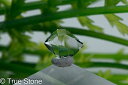 1点物 ハーキマーダイヤモンド アメリカ ニューヨーク州産 ダブルポイント 両剣水晶 1.41ct ダイヤモンド 原石 天然石 浄化