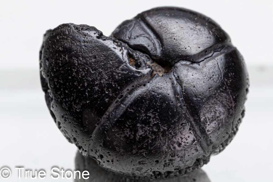 タロットクロス 占い 神秘的 ぬい撮り 小物 撮影背景 タペストリー 魔法陣 おしゃれ 祭壇 正方形 グッズ アクセサリー tarot 紺 青 白 月 満月 生命の樹 夜空 瞑想