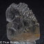 アフガニスタン産 カラーレス スポジュミン スポジュメン クンツァイト 12.7g 結晶 原石 リチア輝石 蛍光 ブラックライト