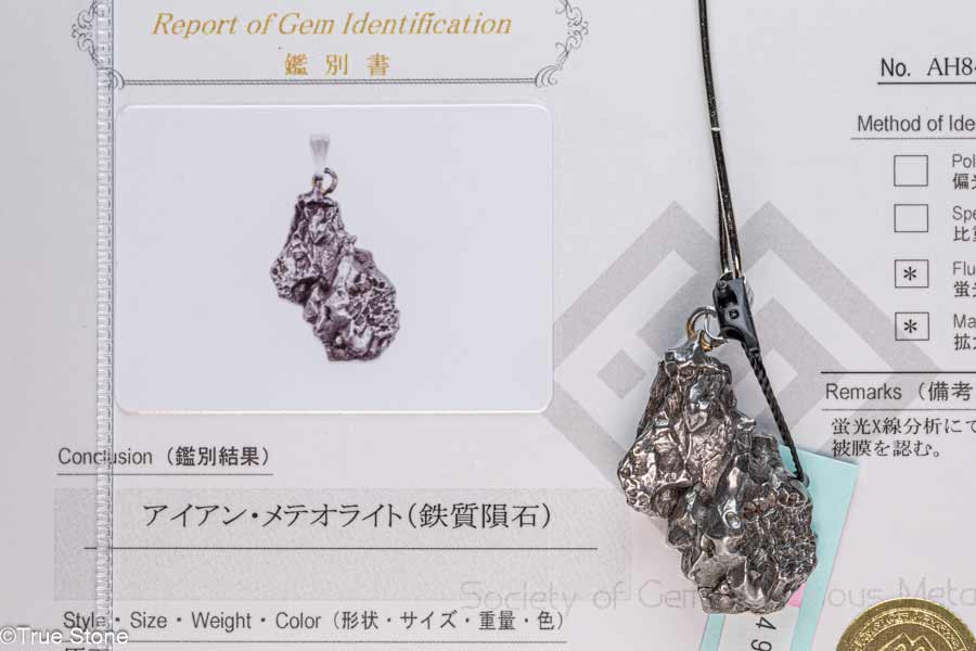 鑑別書付き カンポ デル シエロ 原石 メテオライト アイアンメテオライト ...