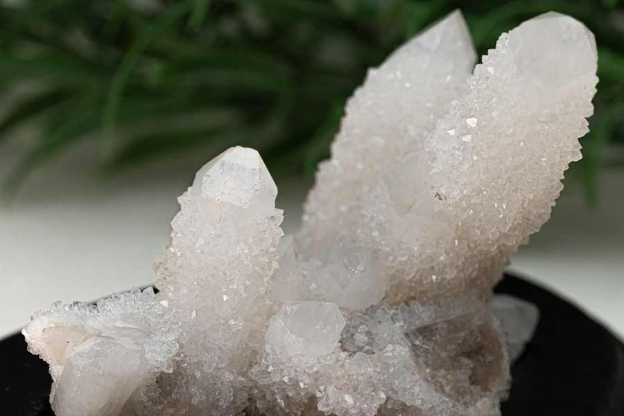 カクタスクォーツ クラスター スピリットクォーツ フェアリークォーツ 原石 サボテン水晶 妖精水晶 心の静寂