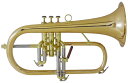 CAROL BRASS N6200 GB 【Bb フリューゲル ホルン】【CB-P2】