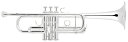 V.Bach C190L229/25M SP Cleveland Model 【C トランペット】 その1