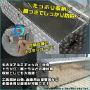 trust-nine:10005816のサンプル画像3