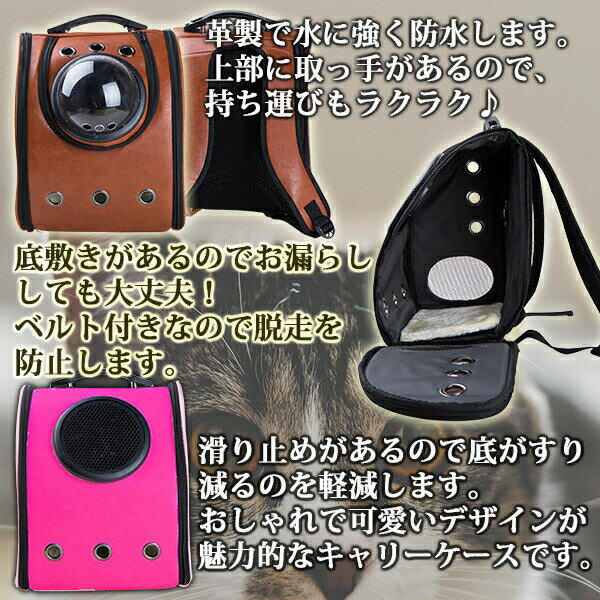 キャリーバッグペットカプセルバックパック型犬キャリー犬用ペットバッグ猫ペット用品防水可愛いインスタ映え桃ピンク