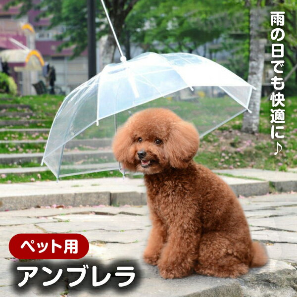 楽天市場】犬 の 傘 立ての通販 楽天市場】犬 の 傘 立ての通販