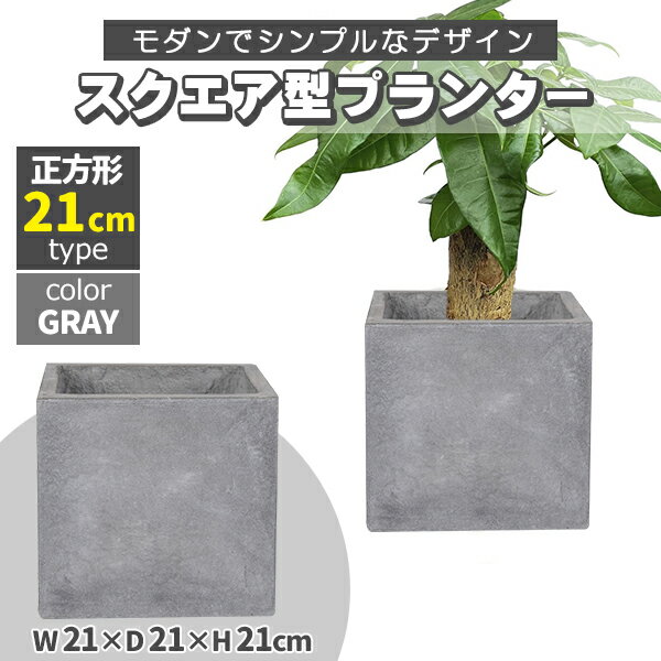 楽天市場】四角 鉢 20cmの通販 楽天市場】四角 鉢 20cmの通販