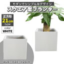 プランター 小型 20×20cm スクエア 正方形 ホワイト 深型 プランターボックス 植木鉢 鉢植えカバー プランターカバー 鉢カバー