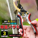 剪定ばさみ 剪定鋏 剪定ハサミ 園芸ばさみ 枝切ハサミ 枝切ばさみ フッ素コーティング 錆びにくい ガーデニング 庭木ばさみ レッド