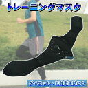 トレーニングマスク 低酸素 ダイエット 持久力 肺活量 フィットネス 1枚 マスク 酸素強化 運動 心肺機能強化 スタミナ 防塵 防風