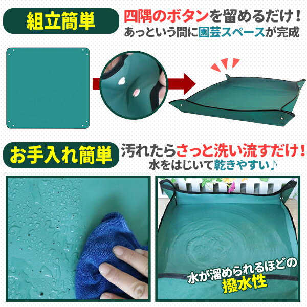 ��ݥ����� ���� ��100x100 80x80 �ɿ� ������ �����ؤ� �����ǥ˥󥰥ȥ졼������ �� �����ǥ˥󥰥����� ���Ż� �󤻿��� ���ե� ���ˡ������� �����