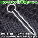 ロングピン 20cm 100本 セット 留め具 ピン ペグ 杭 地面 固定 返し 抜けにくい 長い ロング 釘 金具 ピン留め 固定する釘 黒 ブラック 園芸 ガーデニング 農作業 テント キャンプ アウトドア ピクニック ブルーシート 防草シート