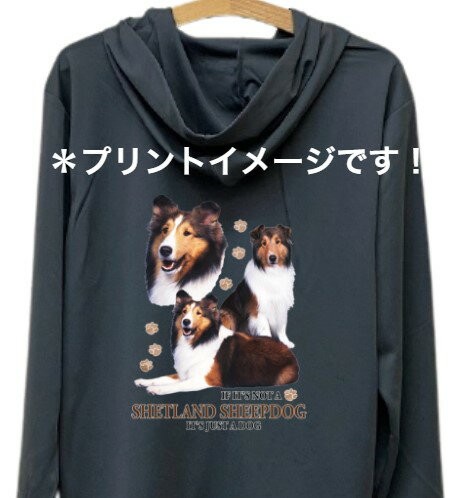 【送料無料】シェットランドシープシェルティー (集合2) ドライジップ パーカー 薄手 長袖 散歩 スポーツ 海 マリンウエア ジップアップ 紫外線 UVカット...