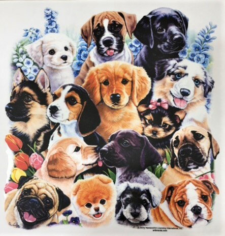 【送料無料】グループドッグ(集合15) ドライジップ パーカー 薄手 長袖 散歩 スポーツ ジップアップ 紫外線 UVカット レディース メンズ ユニセックス ...