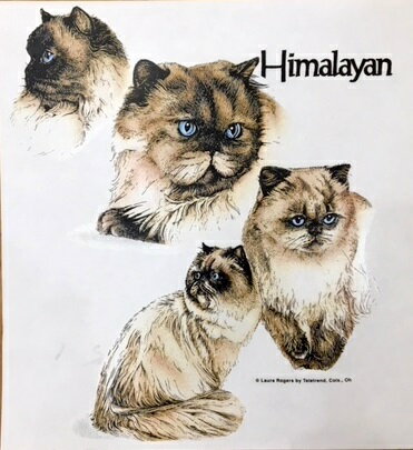 【送料無料】ヒマラヤンキャット (集合R) 猫ネコ ドライジップ パーカー 薄手 長袖 散歩 スポーツ ジップアップ 紫外線 UVカット レディース メンズ ユ...