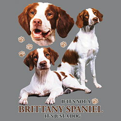 ブリタニースパニエル柄のスウェットフルジップパーカーです。(集合2） 送料無料