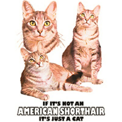 アメリカンショートヘアー・キャット柄のスウェットフルジップパーカーです。(集合2） 送料無料