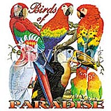 鳥 トリ(01-L) 鳥グッズ 傘 65cm 直径110cm レディース メンズ 男女兼用 雨傘 かわいい おしゃれ 梅雨 レイングッズ UVカット 風に強い ...