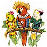 鳥 トリ(03-D) 鳥グッズ 傘 65cm 直径110cm レディース メンズ 男女兼用 雨傘 かわいい おしゃれ 梅雨 レイングッズ UVカット 風に強い ...