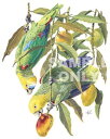 鳥 トリ インコ(10-L) 鳥グッズ 傘 65cm 直径110cm レディース メンズ 男女兼用 雨傘 かわいい おしゃれ 梅雨 レイングッズ UVカット 風...