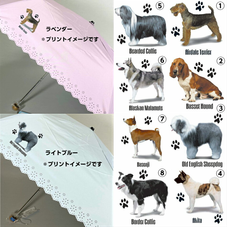 【選べる中大型犬シリーズ】 傘 折りたたみ傘 50cm 直径90cm レディース 晴雨兼用傘 雨傘 日傘 紫外線 日よけ かわいい おしゃれ 梅雨 犬柄 犬グッズ 犬プリント 軽量 エアデール バセット オールド アキタ ブビアデッド マラミュート バセンジー ボーダー