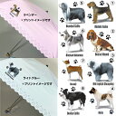 【期間限定P2倍】【選べる中大型犬シリーズ】 傘 折りたたみ傘 50cm 直径90cm レディース 晴雨兼用傘 雨傘 日傘 紫外線 日よけ かわいい おしゃれ 梅雨 犬柄 犬グッズ 犬プリント 軽量 エアデール バセット オールド アキタ ブビアデッド マラミュート バセンジー ボーダー