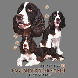 イングリッシュスプリンガースパニエル(集合2) 傘 65cm 直径110cm レディース メンズ 男女兼用 雨傘 かわいい おしゃれ 梅雨 レイングッズ UVカ...