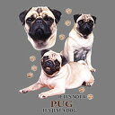 パグ(集合2) 傘 65cm 直径110cm レディース メンズ 男女兼用 雨傘 かわいい おしゃれ 梅雨 レイングッズ UVカット 風に強い 耐風 犬柄 いぬ...